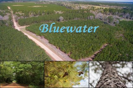 Recreational Property in Polk County, Texas