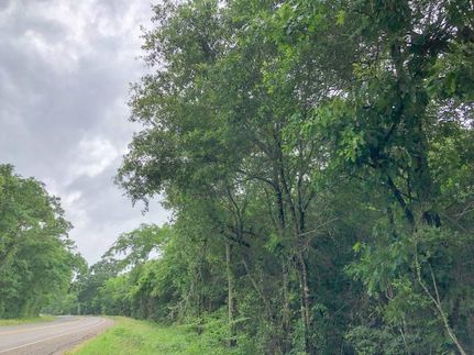 Undeveloped Land in Liberty County, Texas
