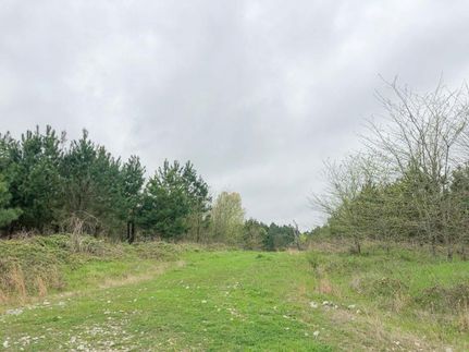Farm and Ranch in Titus County, Texas