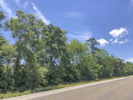 Timberland Property in Liberty County, Texas