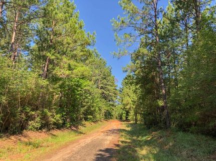 Recreational Property in Angelina County, Texas