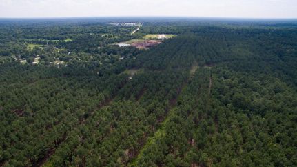 Hunting Property in Montgomery County, Texas