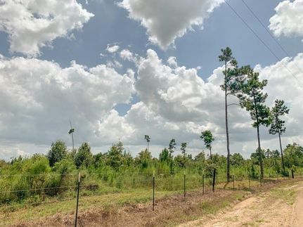 Recreational Property in Trinity County, Texas