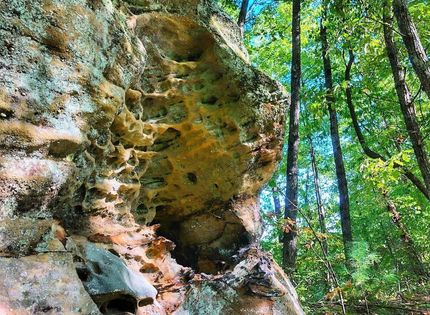 Farm and Ranch in Powell County, Kentucky
