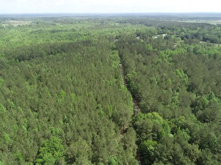 Timberland Property in Wayne County, Mississippi