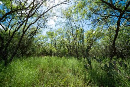 Commercial Property in Atascosa County, Texas