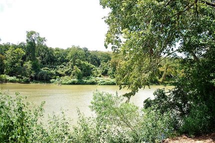 Riverfront Property in Colorado County, Texas