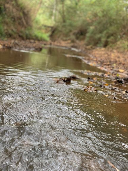 Land in Cherokee County, Texas