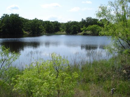 Undeveloped Land in Stephens County, Texas