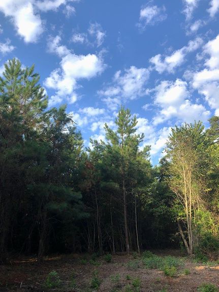 Farm and Ranch in Tyler County, Texas