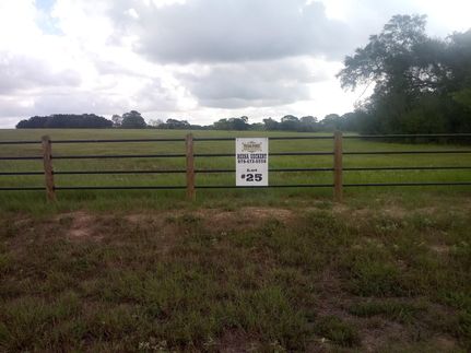 Recreational Property in Austin County, Texas