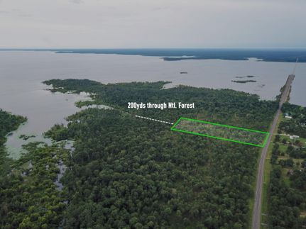 Undeveloped Land in San Augustine County, Texas