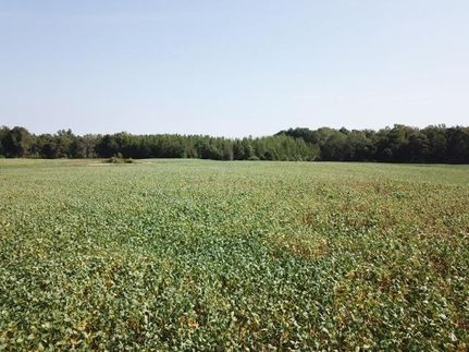 Recreational Property in Warren County, Tennessee