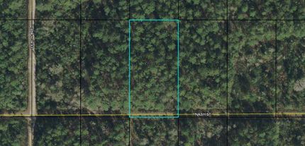 Hunting Property in Flagler County, Florida