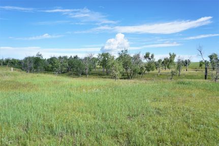 Timberland Property in Elbert County, Colorado