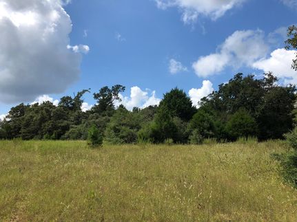 Farm and Ranch in Leon County, Texas