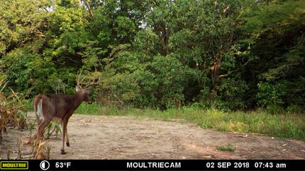 Commercial Property in Linn County, Missouri