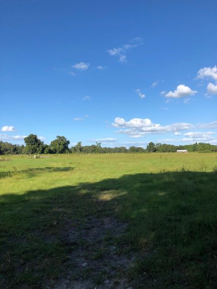 Farm and Ranch in Sumter County, Florida