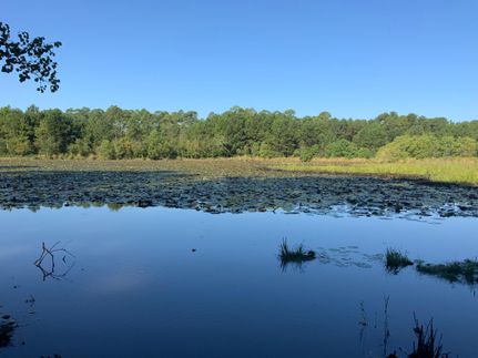 Farm and Ranch in Colquitt County, Georgia
