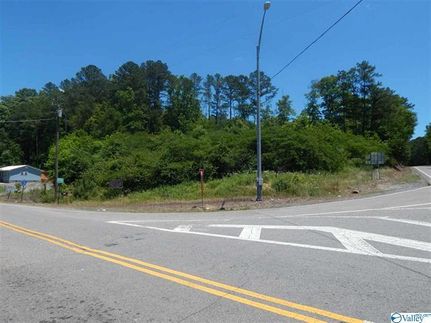 Commercial Property in Cherokee County, Alabama