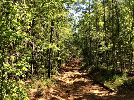 Farm and Ranch in Elmore County, Alabama