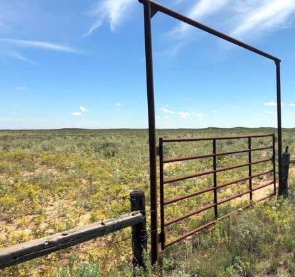 Hunting Property in Cochran County, Texas
