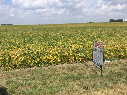Farm and Ranch in Coles County, Illinois