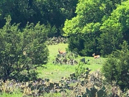 Farm and Ranch in Burnet County, Texas