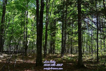 Land in Forest County, Wisconsin