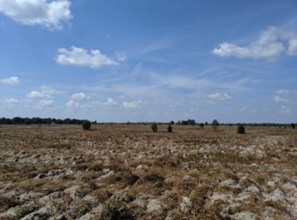 Farm and Ranch in Suwannee County, Florida