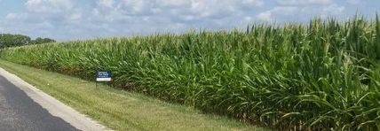 Farm and Ranch in Macon County, Illinois