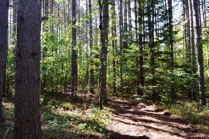 Land in Forest County, Wisconsin