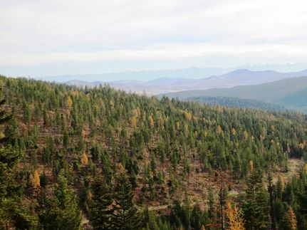 Recreational Property in Sanders County, Montana