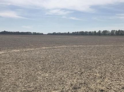 Timberland Property in Lawrence County, Arkansas