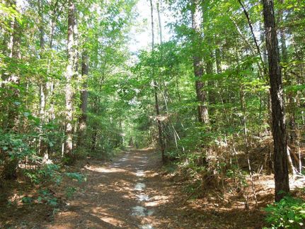 Timberland Property in Harnett County, North Carolina