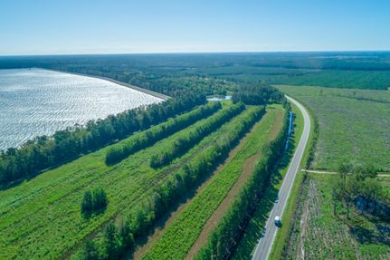 Land in Berkeley County, South Carolina