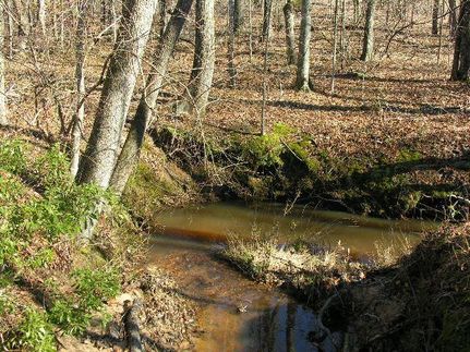 Timberland Property in Greene County, Georgia