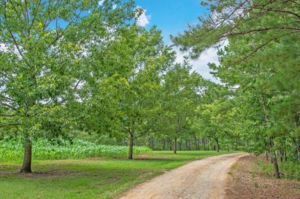Farm and Ranch in Russell County, Alabama