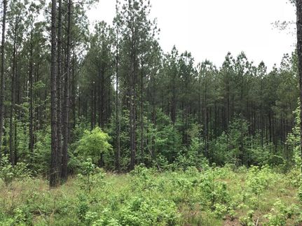 Recreational Property in Greenwood County, South Carolina
