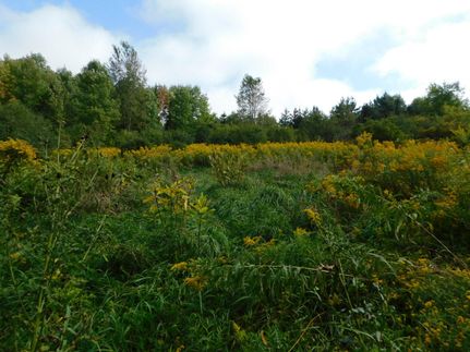 Farm and Ranch in Oneida County, New York