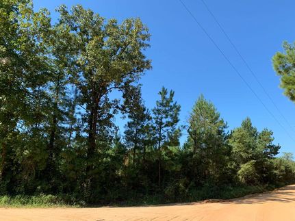 Farm and Ranch in Washington County, Alabama