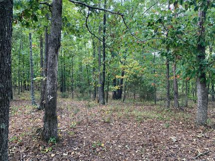 Timberland Property in Polk County, Georgia