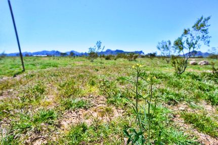 Undeveloped Land in Mohave County, Arizona