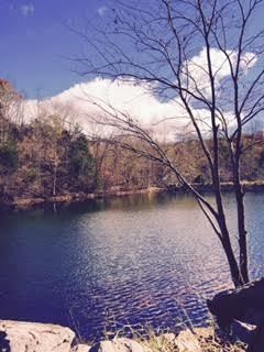 Land in Lee County, Virginia