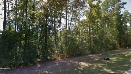 Undeveloped Land in Polk County, Texas