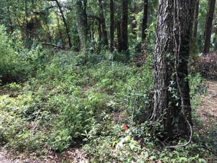 Land in Marion County, Florida