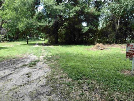Undeveloped Land in Marion County, Florida