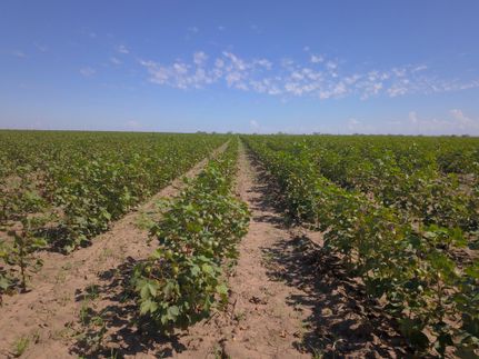 Land in Haskell County, Texas
