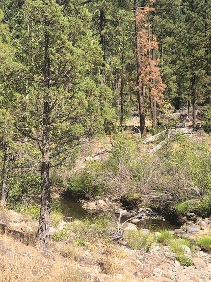 Riverfront Property in Lassen County, California