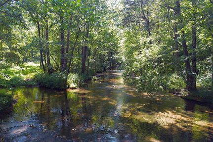 Riverfront Property in Williamson County, Tennessee